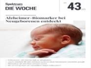 Spektrum Die Woche 43/2025