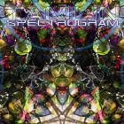 Tamlin - Spectrogram