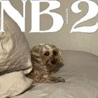 No Buses - NB2