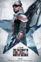 The Falcon and the Winter Soldier