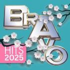 BRAVO Hits (23.04.2025)