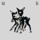 Acid Boi - A C I D  W A V