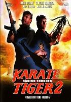 Karate Tiger 2