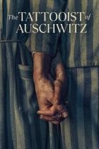 The Tattooist of Auschwitz - Staffel 1
