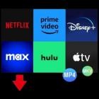 Pazu StreamGet All-In-One Video Downloader v2.8.4