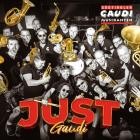Suedtiroler Gaudimusikanten - Just Gaudi
