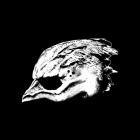 Legend Of The Seagullmen - - Legend Of The Seagullmen  