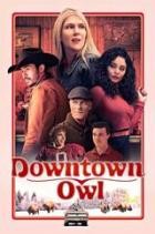 Downtown Owl