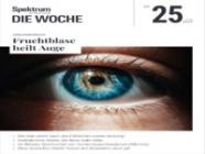 Spektrum Die Woche 25/2025