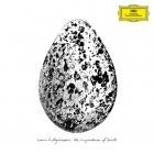 Snorri Hallgrimsson - The Importance Of Birds