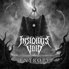 Insidious Void - Entropy