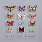 Dominik Eulberg - Lepidoptera