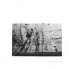 Maxim Wolzyn - Intercity Express