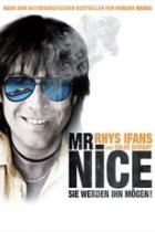 Mr  Nice