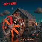 Gov't Mule - Dreaming Out Loud