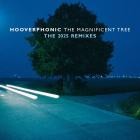 Hooverphonic - The Magnificent Tree-The 2025 Remixes