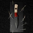 Finalversion3 - Estudio Sobre La Belleza De Lo Fisic