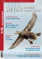 Der Falke - Journal fuer Vogelbeobachter 07/2025