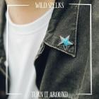 Wild Spelks - Turn It Around