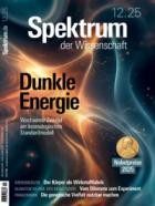 Spektrum Der Wissenschaft 12/2025