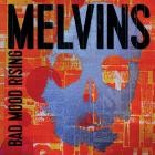 Melvins - Bad Mood Rising (Standard)