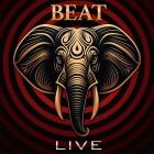 Beat - Strange Spaghetti: Live in North America