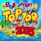 Ballermann Top 100 - 2025