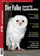 Der Falke - Journal fuer Vogelbeobachter 02/2025