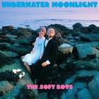 The Soft Boys - Underwater Moonlight (45th Anniversary Remaster)