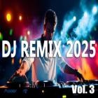 DJ Remixed Hits Vol.3