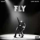 Quavo x Lenny Kravitz - FLY