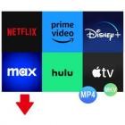 Pazu StreamGet All-In-One Video Downloader v2.8.1