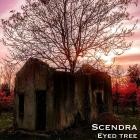 Scendra - Eyed tree