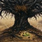 Carcosa - The Axe Forgets, The Tree Remembers