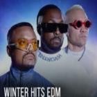 Winter Hits EDM 2025