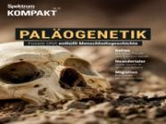 Spektrum Kompakt 34/2025