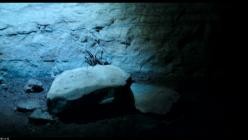 Von.Pol.zu.Pol.mit.Will.Smith.S01E02.GERMAN.DL.DOKU.1080p.WEB.h264-HAXE