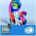 Adobe DNG Converter v14.3 (x64)