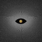 Denise Rabe - Transition LP