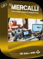 proDAD Mercalli V6 SAL v6.0.622.3 (x64) + Portable