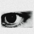 Life - My Heart The Dreaming Memory