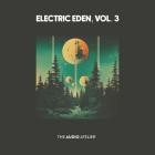 VA - Electric Eden Vol  3