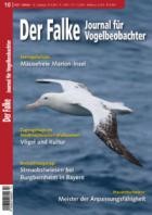 Der Falke - Journal fuer Vogelbeobachter 10/2025