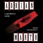 Adrian Marth - Labyrinth Mind