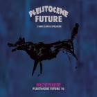 Nachtwaker - Pleistocene Future 10
