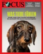 FOCUS 22/2025