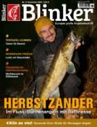 Blinker 11/2025