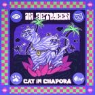In Between - Cat In Chapora