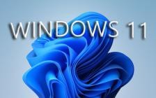 Microsoft Windows 11 Pro 21H2 Build 22000.346 (x64)