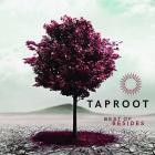 Taproot - Best of Besides